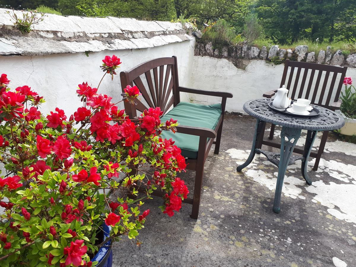 Score Valley Country House Hotel Ilfracombe Exterior photo